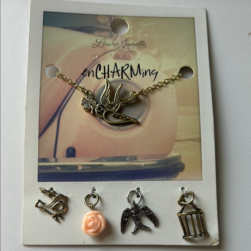Laura Janelle enCHARMing Necklace and Charms Set